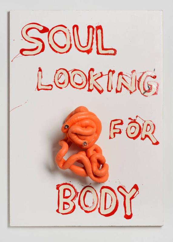 SOUL LOOKING FOR BODY