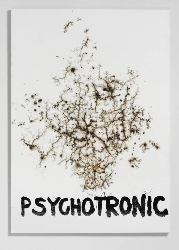 PSYCHOTRONIKA