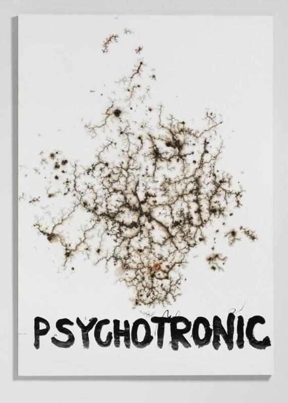 PSYCHOTRONIC